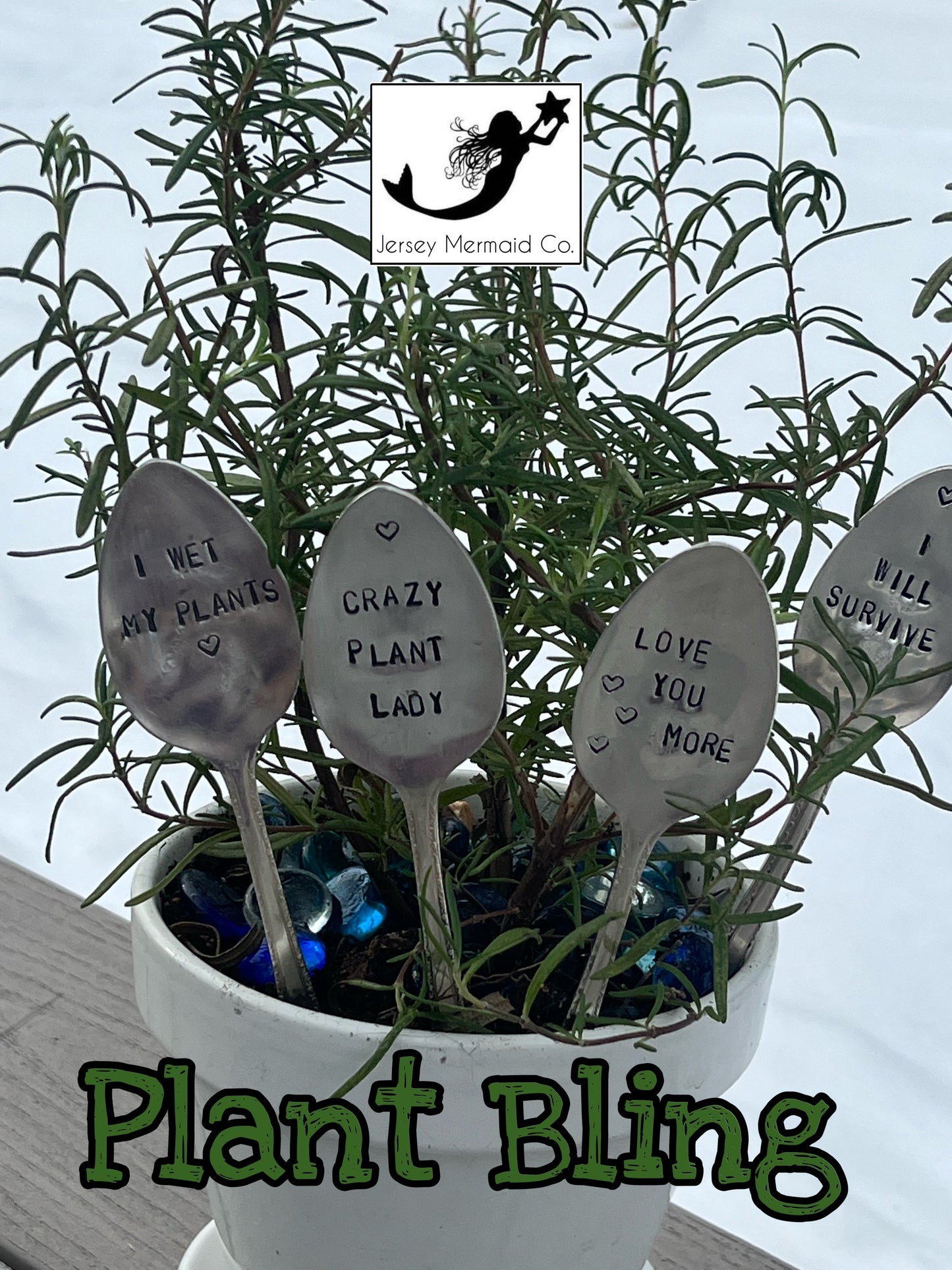 Plant Bling - Love You More ❤️