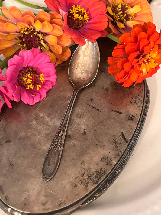 Spoon Drop -  Demitasse - Burgundy- Champagne- 1934