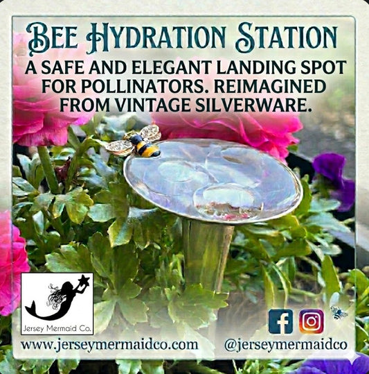 Bee Hydration Station