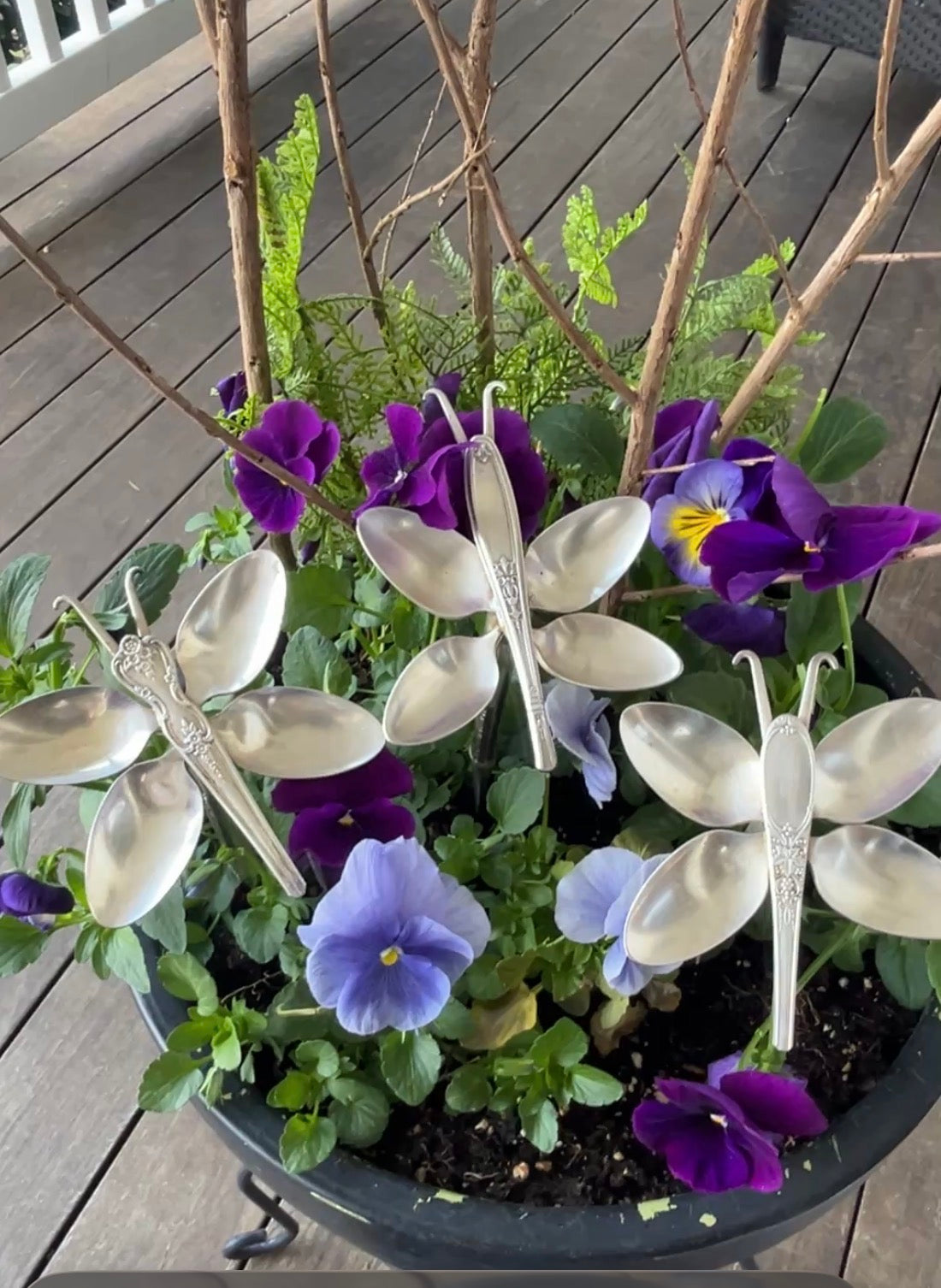 Silver Garden Butterfly
