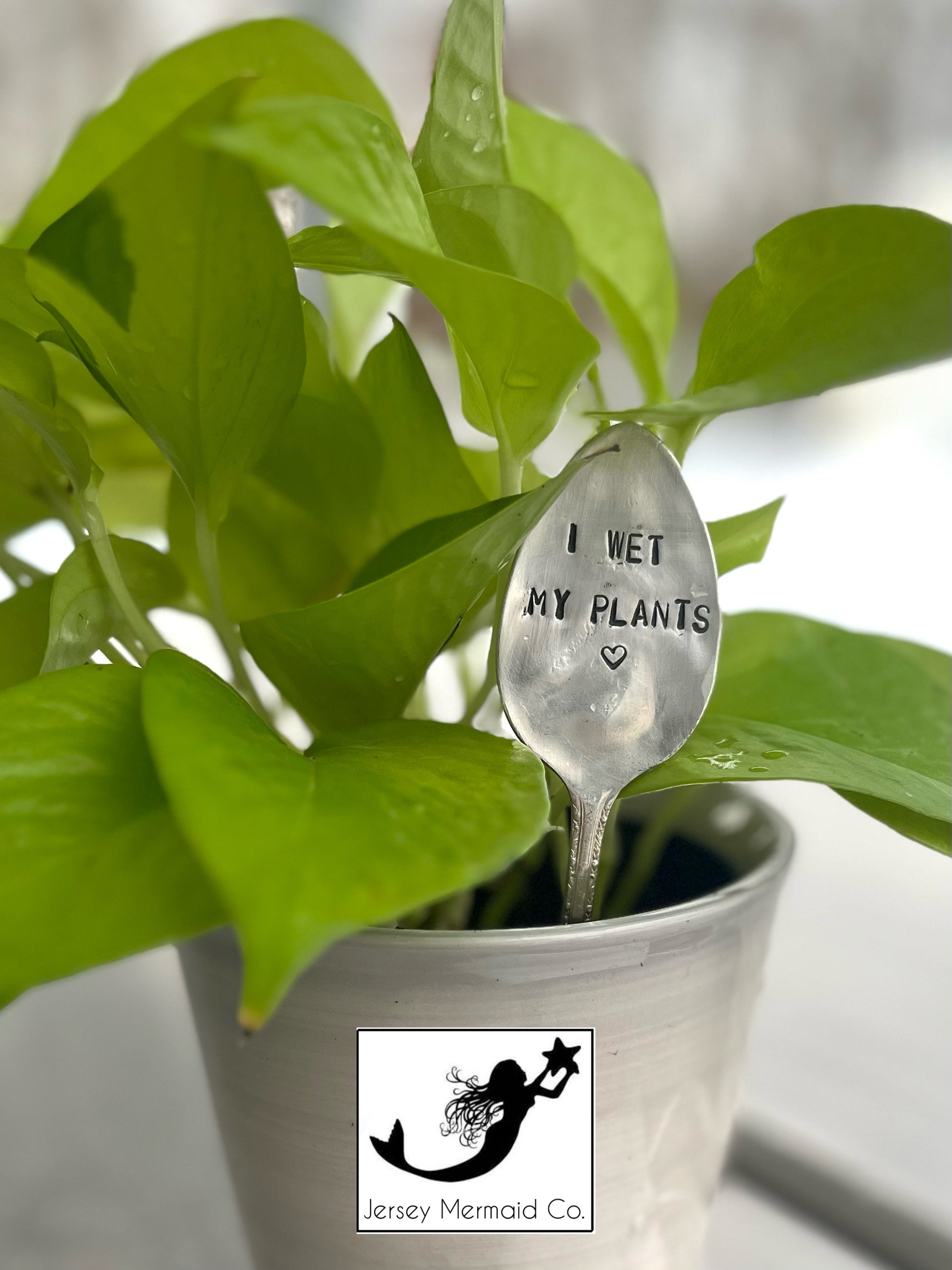 i wet my plants pot Plant Bling