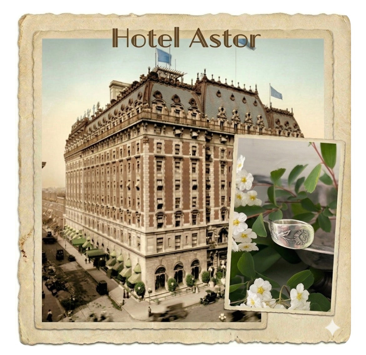 Hotel Astor - Chrysanthemum