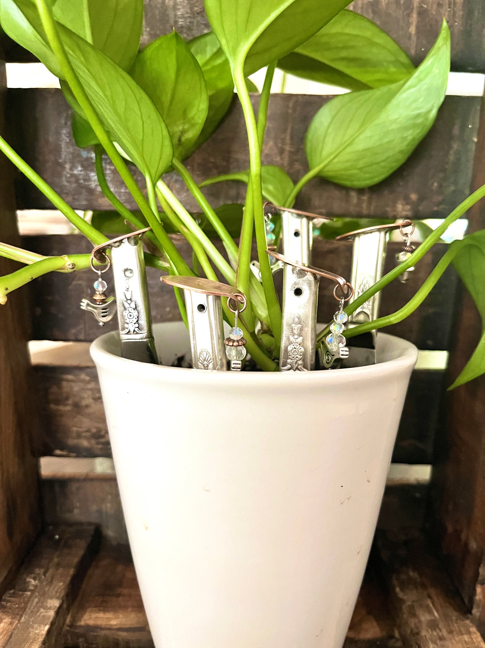 birdie plant pot Birdhouse Plant Bling